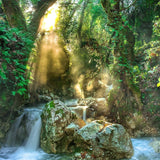 Schilderen op Nummer Waterval