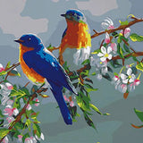 Schilderen op nummer 2 Vogels