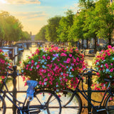 Schilderen op nummer Amsterdam Bloemetjes