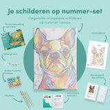 Schilderen op nummer Bulldog  Vrolijke Kleuren