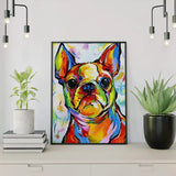 Schilderen op nummer Bulldog  Vrolijke Kleuren