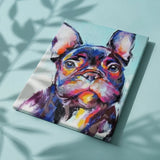Schilderen op nummer Gekleurde Bulldog