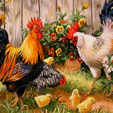 Schilderen op nummer Kippen