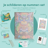 Schilderen op nummer Kleurrijke Uil