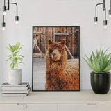 Schilderen op nummer Lama