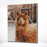 Schilderen op nummer Lama