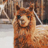 Schilderen op nummer Lama