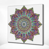 Schilderen op nummer Mandala met Kleuren