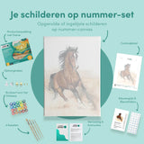 Schilderen op nummer Paard in Gallop