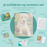 Schilderen op nummer Puppy Labrador