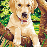 Schilderen op nummer Puppy Labrador