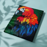 Schilderen op nummer Rode Papegaai met Blauwe Tinten