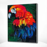 Schilderen op nummer Rode Papegaai met Blauwe Tinten