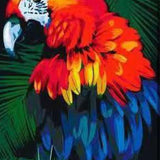 Schilderen op nummer Rode Papegaai met Blauwe Tinten