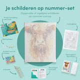 Schilderen op nummer Schotse Hooglander