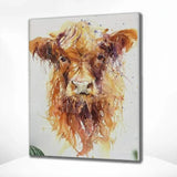 Schilderen op nummer Schotse Hooglander