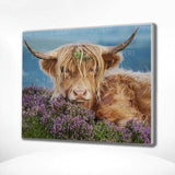 Schilderen op nummer Schotse Hooglander met Bloemen