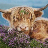 Schilderen op nummer Schotse Hooglander met Bloemen