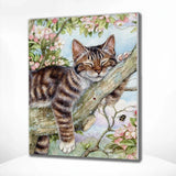 Schilderen op nummer Slapende Kat Boom