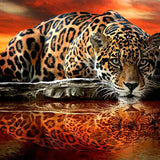 Schilderen op nummer Tijger Zonsondergang