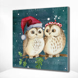 Schilderen op nummer Uilen Kerstmis