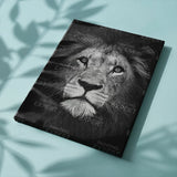 Schilderen op nummer Zwart Wit Leeuw Portret