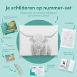 Schilderen op nummer Zwart Wit Schotse Hooglander