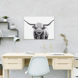 Schilderen op nummer Zwart Wit Schotse Hooglander