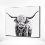 Schilderen op nummer Zwart Wit Schotse Hooglander