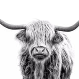 Schilderen op nummer Zwart Wit Schotse Hooglander