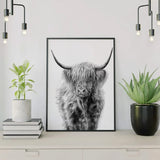 Diamond Painting Schotse Hoogelander Zwart