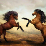 Schilderen op Nummer Twee Paarden