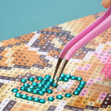 Pincet-trio (3-delig)