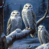 Diamond Painting Uilen in de Sneeuw