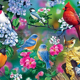 Schilderen op nummer Vogeltjes met Bloemetjes