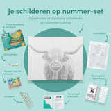 Schilderen op nummer Zwart Wit Schotse Hooglander