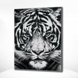 Diamond Painting Zwart-Wit Tijger