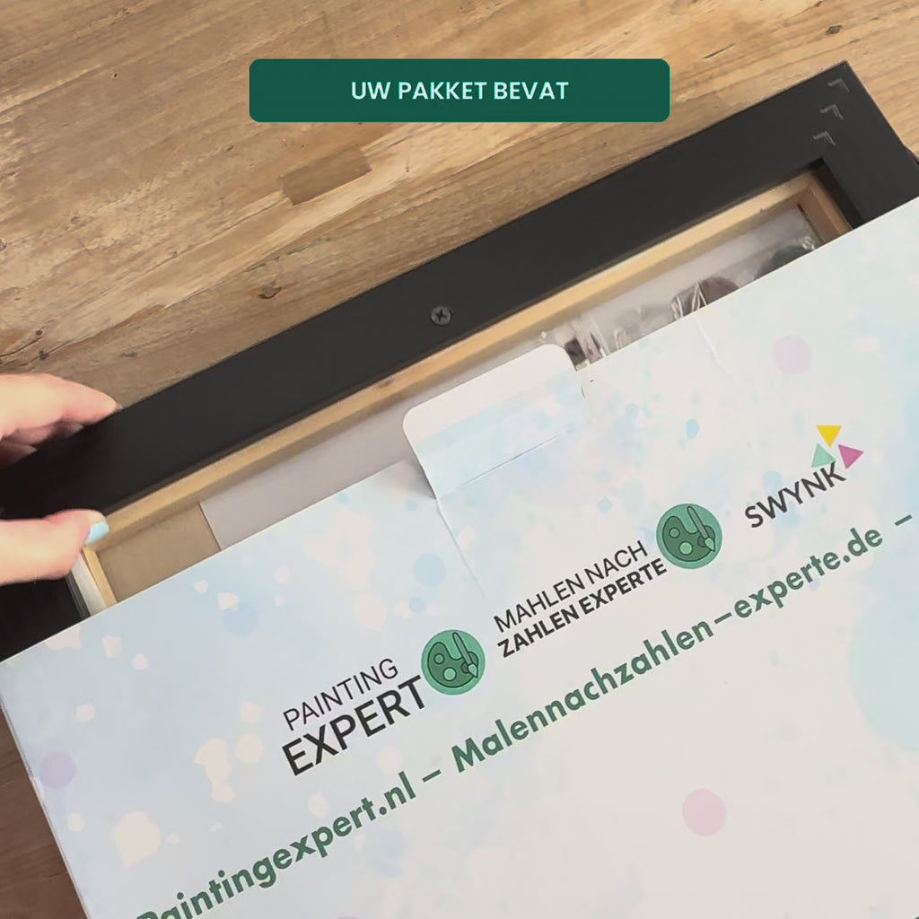 Schilderen op nummer eigen foto pakket inhoud
