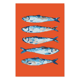 Vrijstaand ontwerp Blauwe Sardines zonder achtergrond