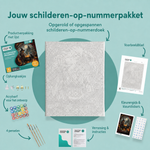 Inhoud van het schilderen-op-nummerpakket De fonkelende heksenketel