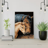 Diamond Painting Paard en Veulen