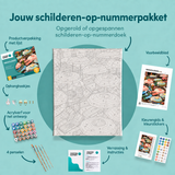 Inhoud van het schilderen-op-nummerpakket Parasollenzee