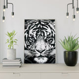 Diamond Painting Zwart-Wit Tijger