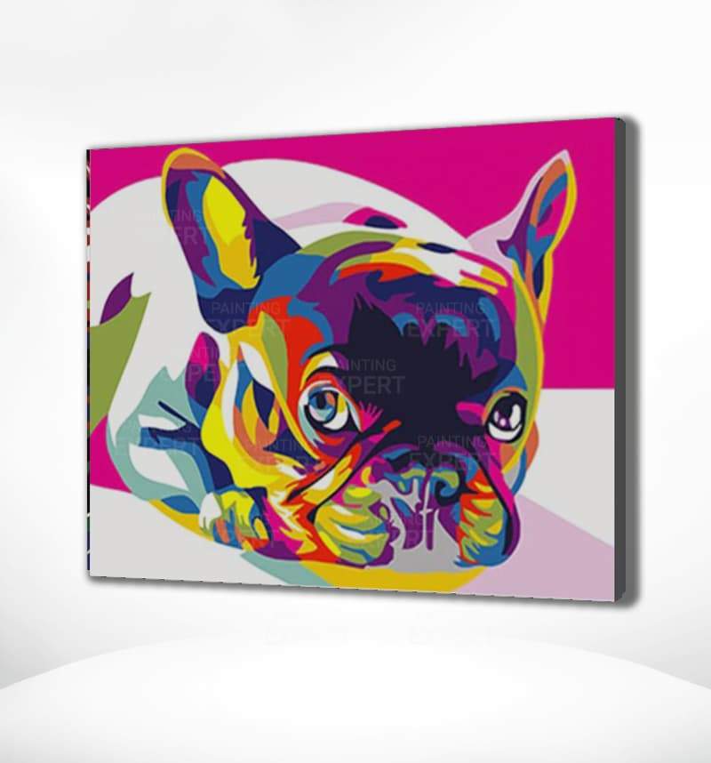 Schilderen op Nummer Buldog