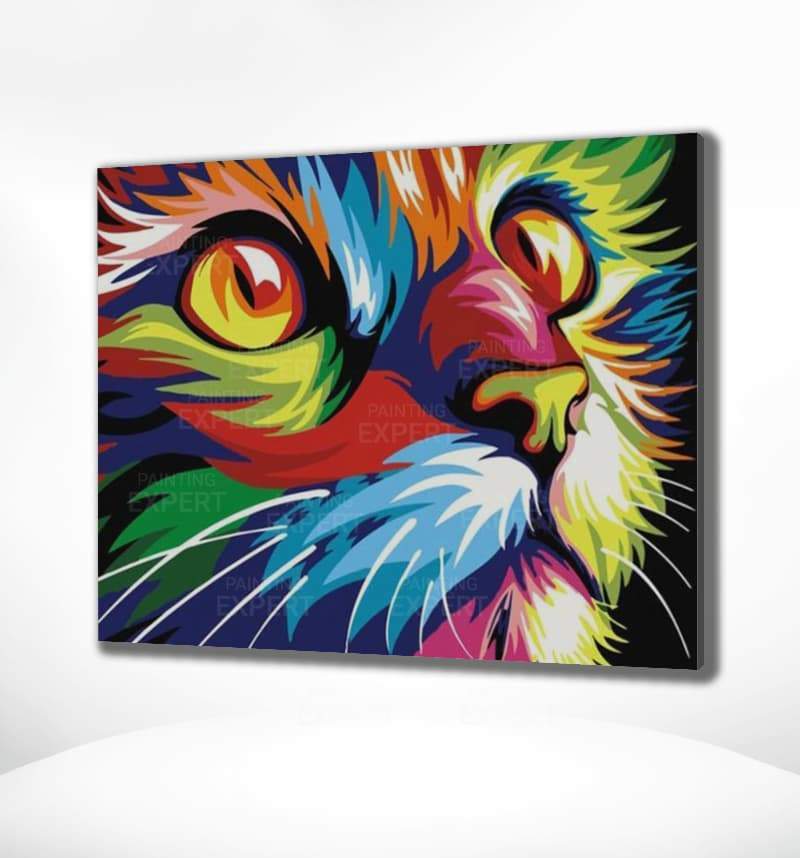 Schilderen op Nummer Kattenhoofd