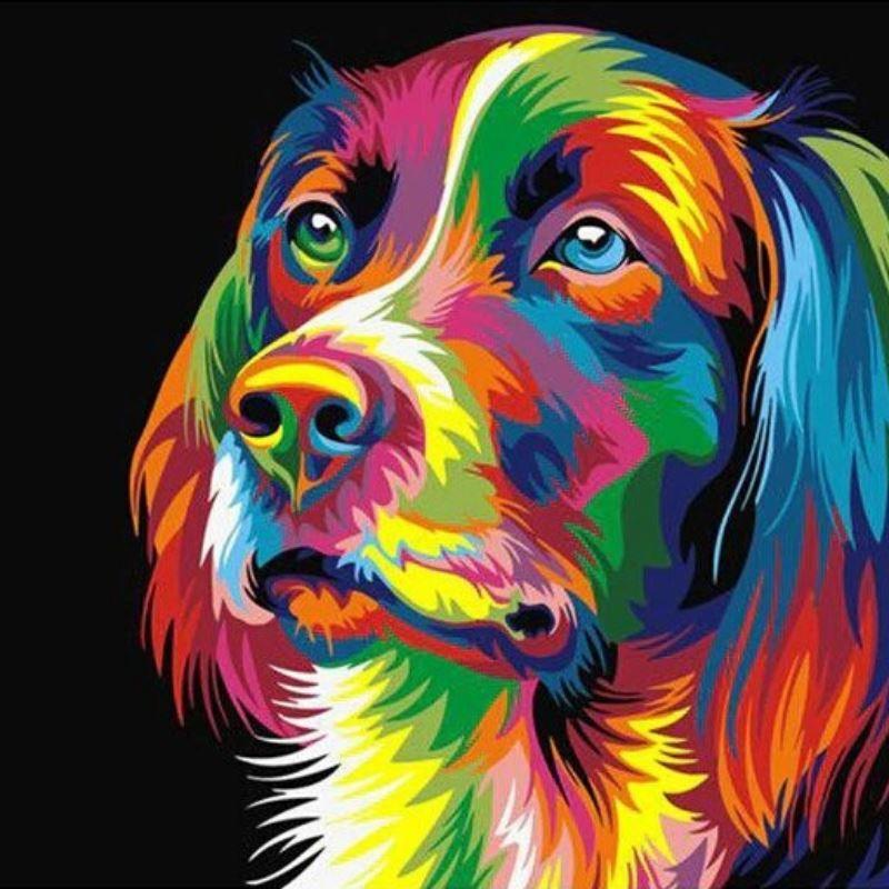 Schilderen op Nummer Labrador