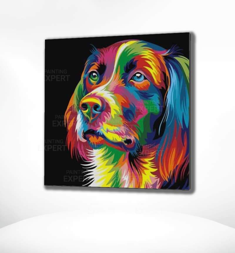 Schilderen op Nummer Labrador