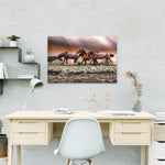 Schilderen op Nummer Paarden in de Zee