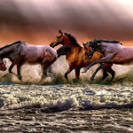 Schilderen op Nummer Paarden in de Zee