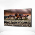 Schilderen op Nummer Paarden in de Zee